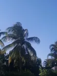 Quality ground floor apartment, platinum west coast, Holetown, Barbados
