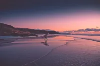 Bungalow - Fuego - Surf & Yoga Villa