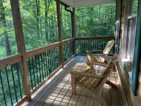 Secluded Cabin near Great Smoky Mts, Game room