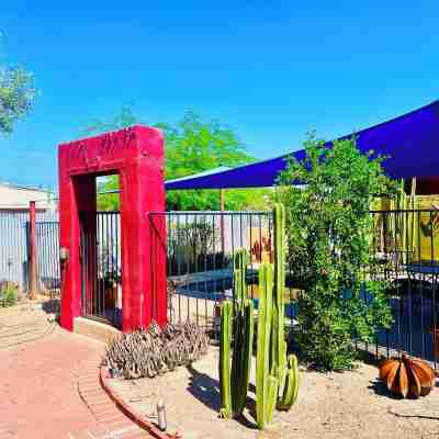 Artsy Historic Downtown 2BR w large backyard & private Salt Water Spa Pool Hotel Exterior