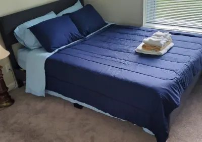 Cozy Two Bedrooms Apartment in Norwood - Boston Massachusetts