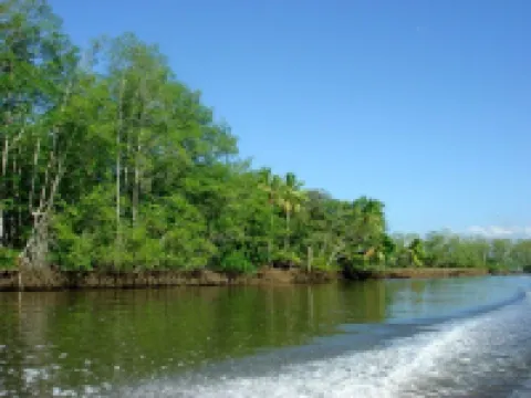 Slice Of Paradise, Bungalow for 2, full kitchen & bath, king bed, AC, & gazebo Hotels in Savegre