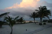 Sea Paradise # 24