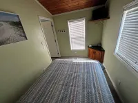 The Sleepy Turtle, with Pool!