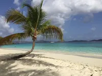 Grande Bay Resort - Indigo Blue Luxury 1BR Condo Beachfront! Hotels in 
