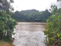 La perle du Rorota - Large luxury studio with swimming pool and private beach access