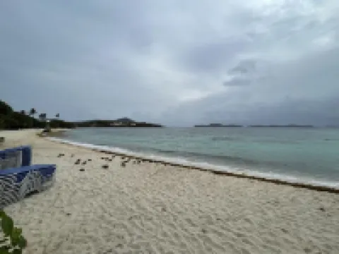 Sapphire Beach; St Thomas USVI; Sleep 4; STEPS FROM BEACH