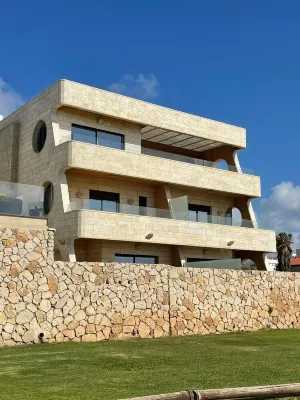 Sycamore on the Beach
