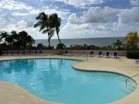 Idyllic, Romantic Caribbean Ocean Front View Coakley Bay Condo. Quiet East End - Pools