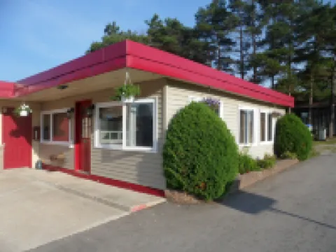 The Silver Birch Motel