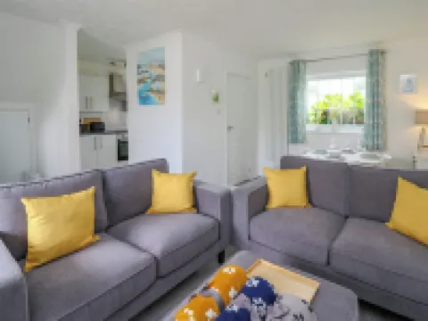 Sea Rose Hotels in Cardigan