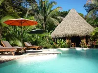 Hotel El Pequeño Gecko Verde