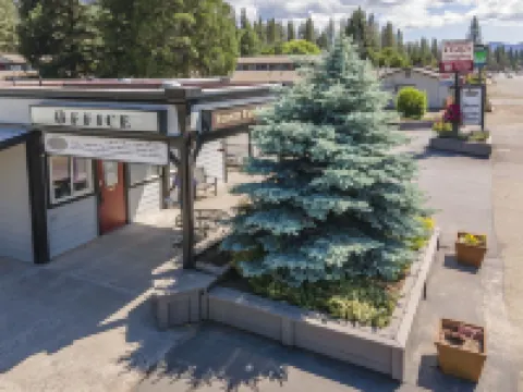 Charm Motel & Suites Hotels in Burney