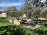 OT 3515L Texas Yurt Haus Longhorn
