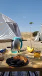 Mars Glam Camp