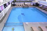 Alante Oceanfront Motel - スパ