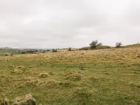Lees Farm