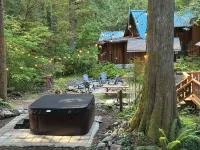 Cozy retreat, newly renovated with loft, hot tub, creek access, pet friendly