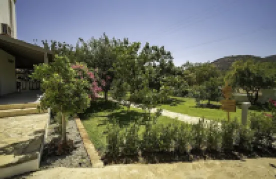 亞里瑪達精品飯店