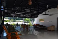 Wide Mouth Frog Quepos