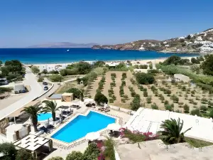 Dionysos Beach Resort & Villas