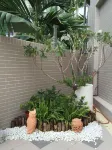 夏慕裡 11 號旅宿