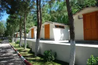 ชิลา ทาทิล โคยู