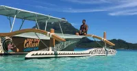 Bora Bora Holiday's Lodge - en bord de mer