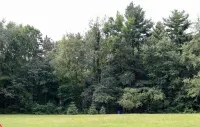 Quiet Country Escape - 15 Minutes to Notre Dame