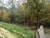 Havre de Paix au Milieu des Bois