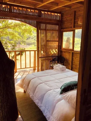 Tree house TOBIA near Bogota Hotel di Nimaima