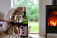 Nieuwe Villa in het bos Hotels in Westerveld