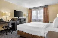 Quality Inn & Suites Hotel a Bathurst