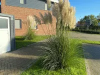 Modern vacation home Deichkieker with its own sauna Hotels in Tossens