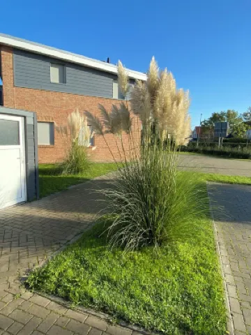 Modern vacation home Deichkieker with its own sauna