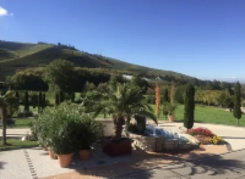 Stilvolles Appartment in Durbach - Wandern - 30 min Strasbourg- Hundefreundlich