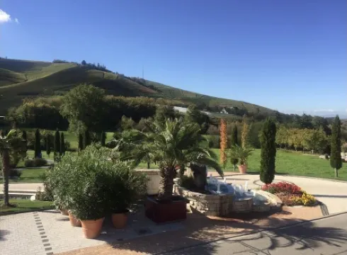 Stilvolles Appartment in Durbach - Wandern - 30 min Strasbourg- Hundefreundlich