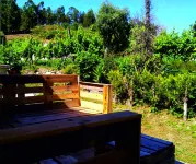 Agildevillas - Casa de Campo C/lareira Perto RTA Amarante