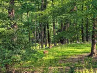 Mondrian Manor - Cottage in the lower Catskills near Ellenville and Wurtsboro