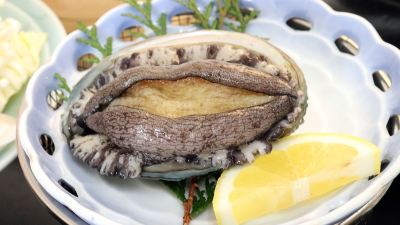 料理 季彩の宿 沙都邑　－ときいろのやど　さとむら－の写真