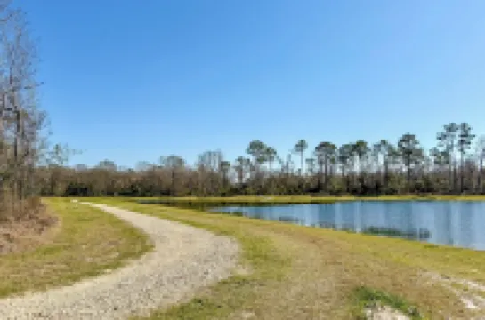 Swim and Unwind Pet-Friendly Home in Spring!