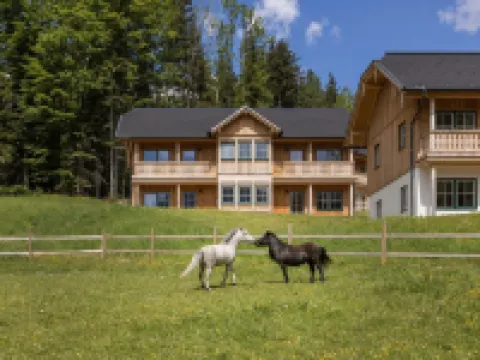 Apartment Ausseerland Near Ski Slopes Hotels in Grundlsee