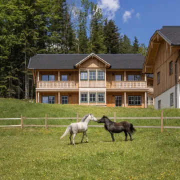 Apartment Ausseerland Near Ski Slopes