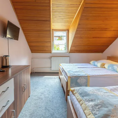 Hotel Wilhelm Отели рядом с Аэропорт Вацлав Гавел