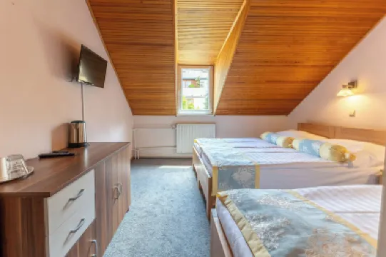 Hotel Wilhelm Hotels in der Nähe von Letohradek Hvezda (Star Villa)