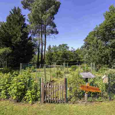 Novotel Bordeaux Merignac Hotel Exterior