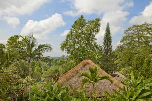 COMO Uma Ubud