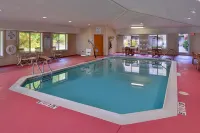 Holiday Inn Express & Suites ST. JOSEPH LAKEFRONT by IHG - Pools