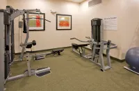 Holiday Inn Express & Suites TOPEKA NORTH by IHG - Gym