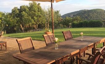 Tenuta Seripa